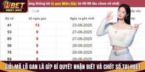 lô gan là gì