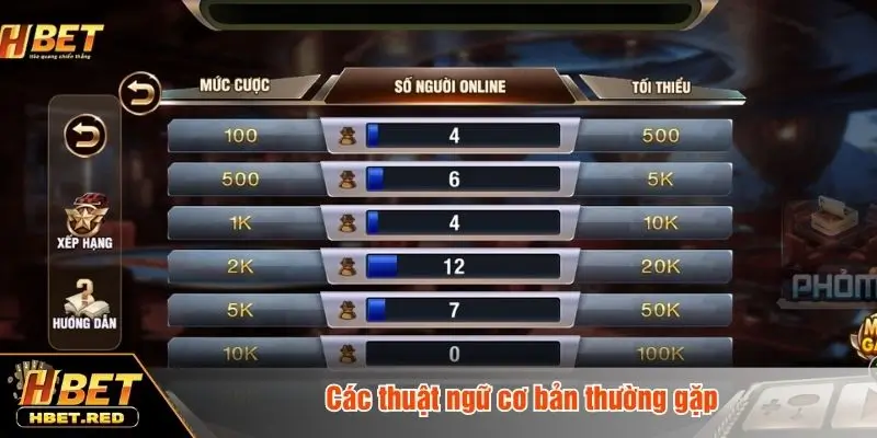 Các thuật ngữ cơ bản thường gặp