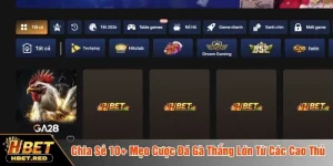 mẹo cược đá gà