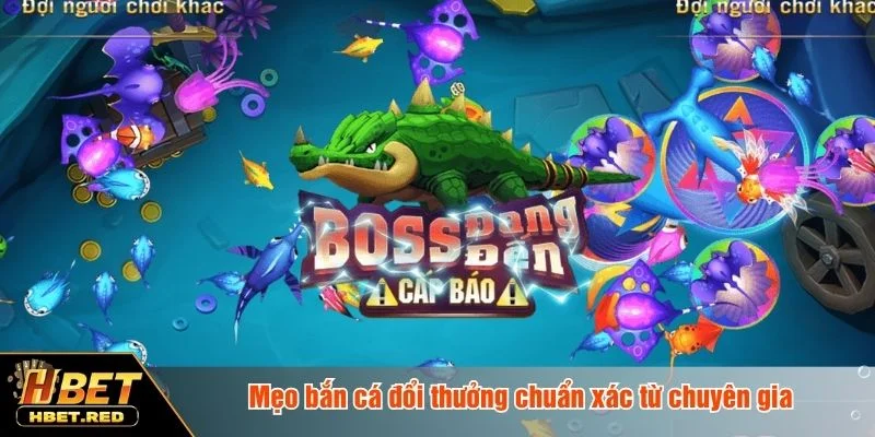 Mẹo Bắn Cá Đổi Thưởng - Bí Kíp Săn Jackpot Tại HBET Mỗi bắn cá đổi thưởng đều dựa trên kinh nghiệm thực tế